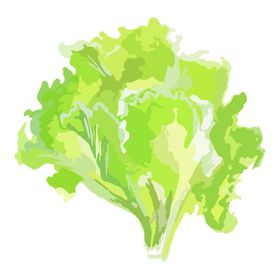 绿色装饰