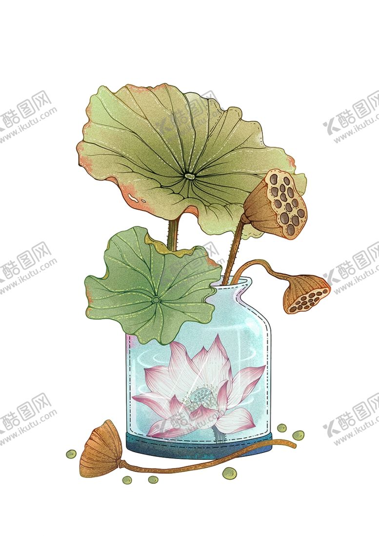 编号：72191110101514048060【酷图网】源文件下载-手绘荷叶抠图