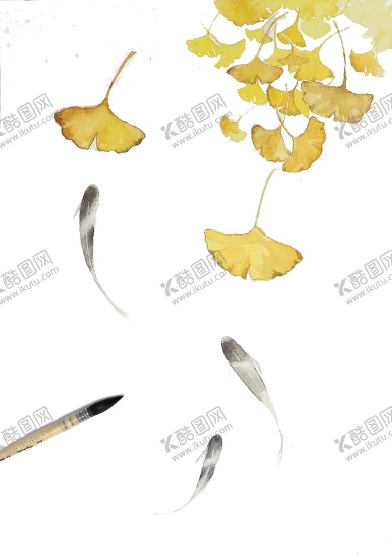 编号：85875506242157302775【酷图网】源文件下载-秋天银杏叶