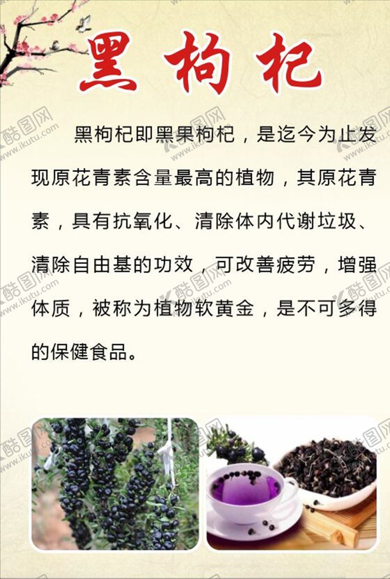 编号：70254403301137382259【酷图网】源文件下载-黑枸杞