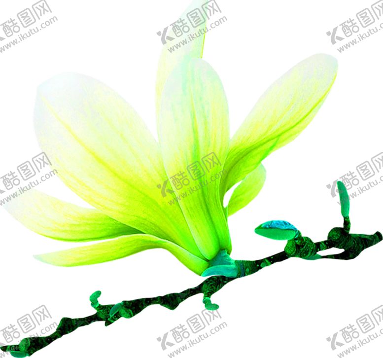 编号：92986510290735133892【酷图网】源文件下载-花素材