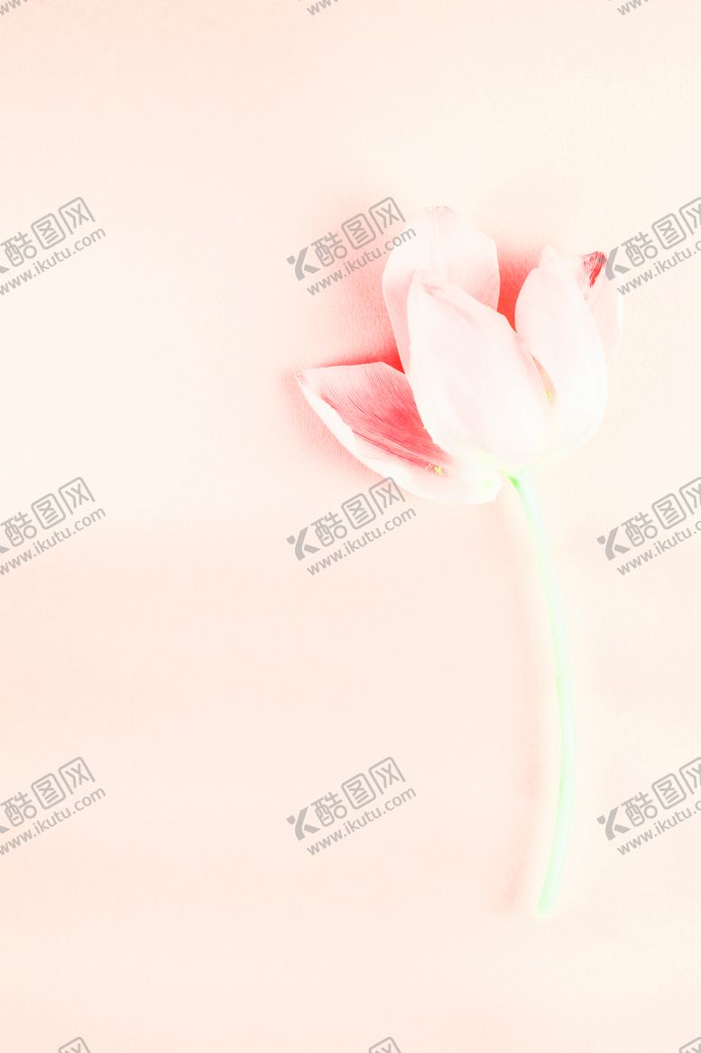编号：37683106161117496836【酷图网】源文件下载-浪漫素材