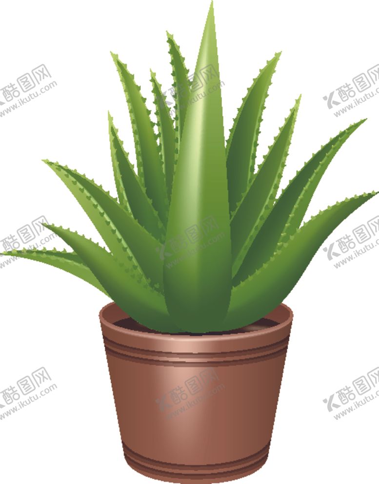 编号：87870009211419314672【酷图网】源文件下载-盆景盆栽