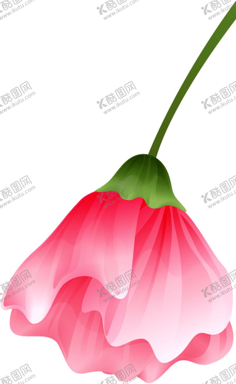 编号：86709909210119042267【酷图网】源文件下载-免抠背景干花枯花