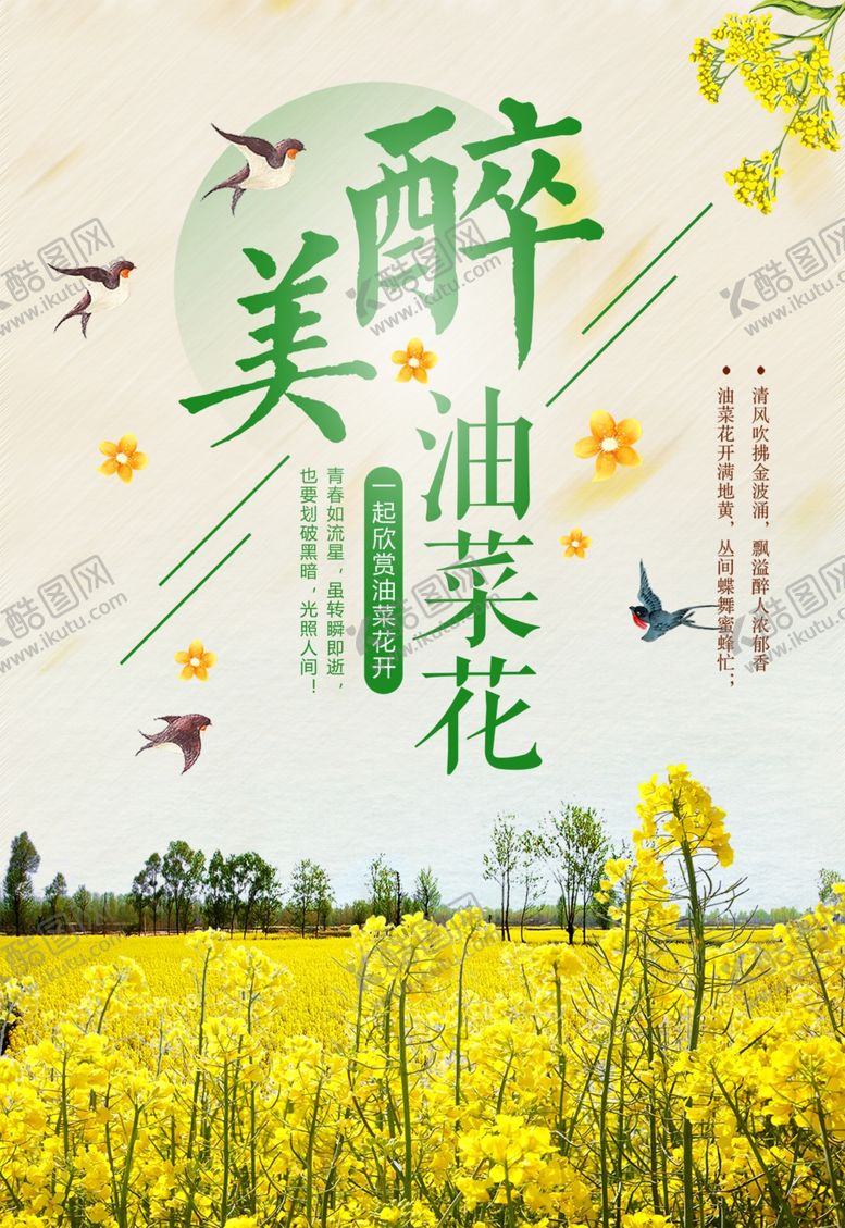 编号：80362409190108402654【酷图网】源文件下载-简约旅游油菜花海报