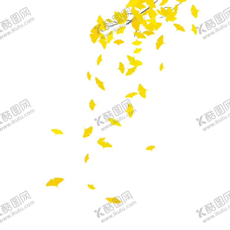 编号：58303310042201143552【酷图网】源文件下载-秋天银杏叶