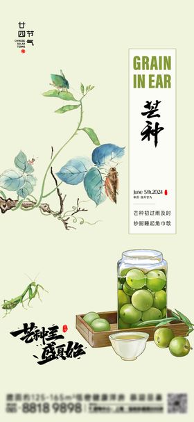 芒种节气海报