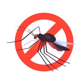 蚊子相关