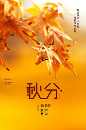 秋分