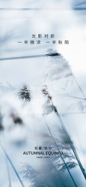 编号：26137409222328260573【酷图网】源文件下载-立冬大雪大寒小寒小雪霜降海报