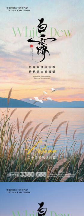 地产白露节气景色系列海报