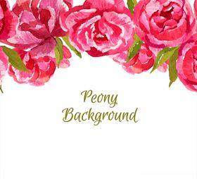 水彩绘红色牡丹花