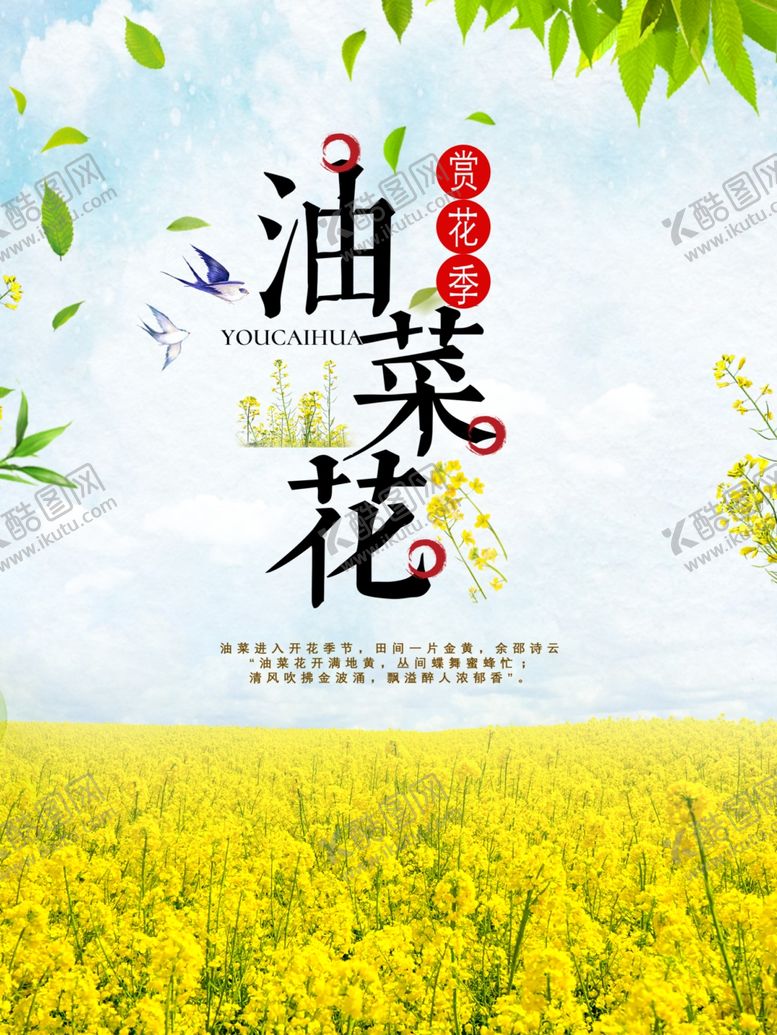 编号：73775610270307286242【酷图网】源文件下载-油菜花节日