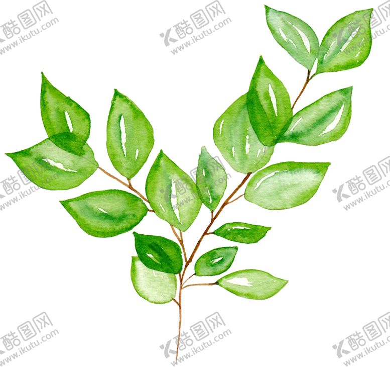 编号：83769909202000336625【酷图网】源文件下载-水彩植物