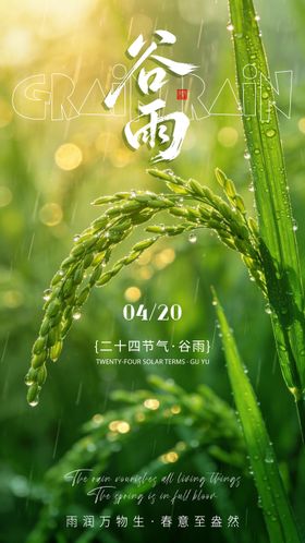 谷雨节气海报