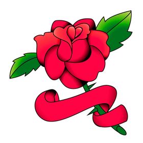 鲜花装饰矢车菊康乃馨郁金香小清新朵