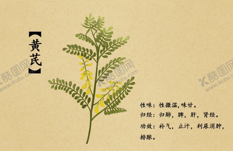 编号：71746402260317169404【酷图网】源文件下载-药材图谱