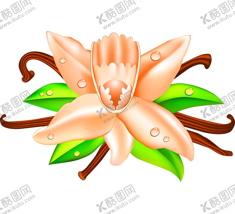 编号：31600906291337167710【酷图网】源文件下载-花素材
