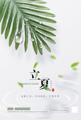 简约立夏节气宣传海报