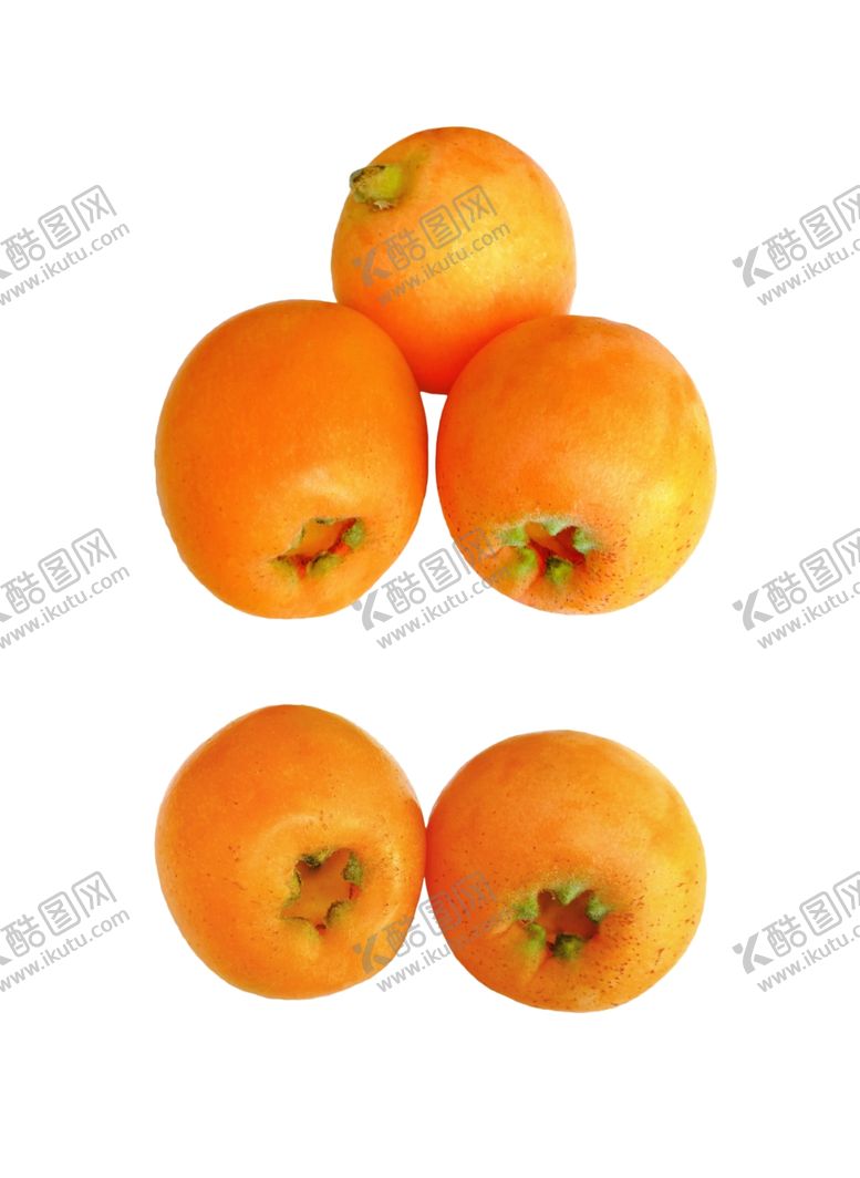 编号：21792509250717171732【酷图网】源文件下载-枇杷