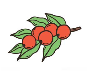 手绘水果