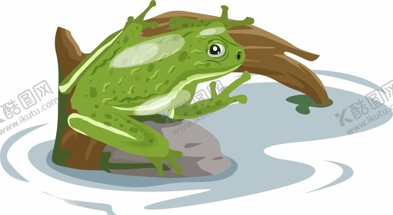 编号：41680710020202114194【酷图网】源文件下载-青蛙