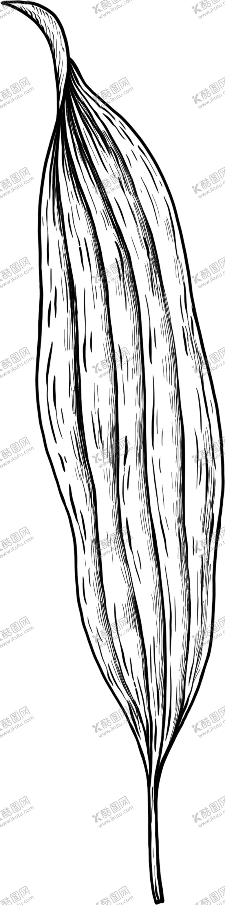 编号：45410605131911119083【酷图网】源文件下载-叶子素描