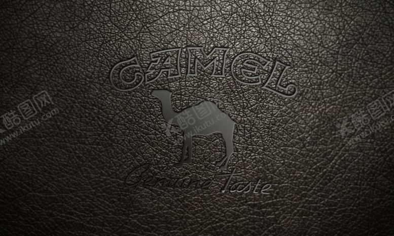 编号：25210505161320061823【酷图网】源文件下载-LOGO样机