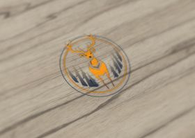 LOGO效果图样机图片