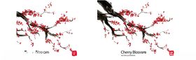 樱花
