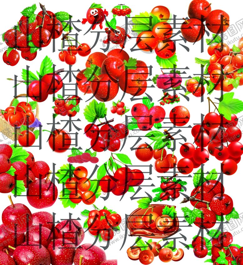 编号：15654710112050365014【酷图网】源文件下载-山楂分层素材