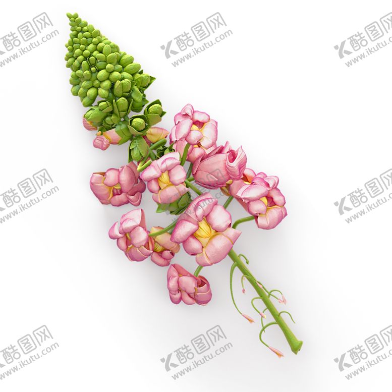 编号：95216706240111024024【酷图网】源文件下载-鲜花素材