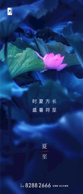夏至
