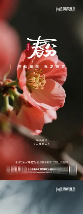 龙抬头春分节日节气海报春天