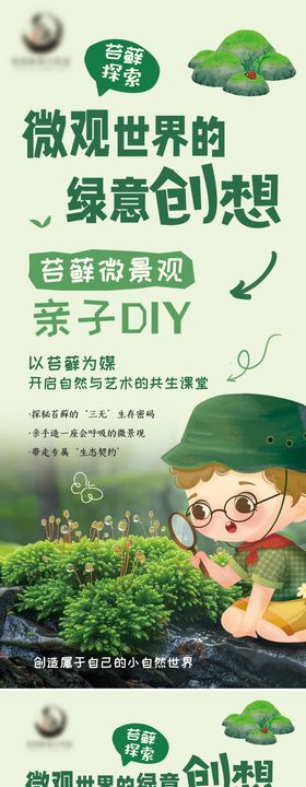 苔藓微景观亲子diy展板