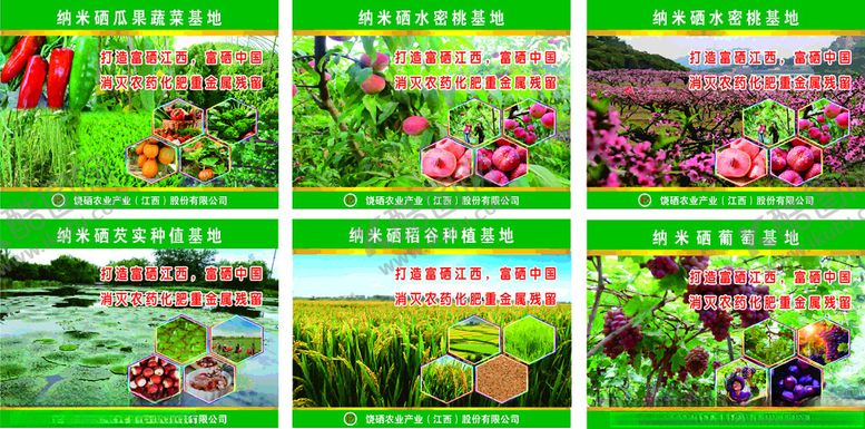 编号：92774502280001307750【酷图网】源文件下载-农业种植基地宣传展板