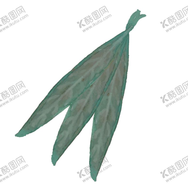 编号：69512310170702401231【酷图网】源文件下载-绿色水彩植物树叶