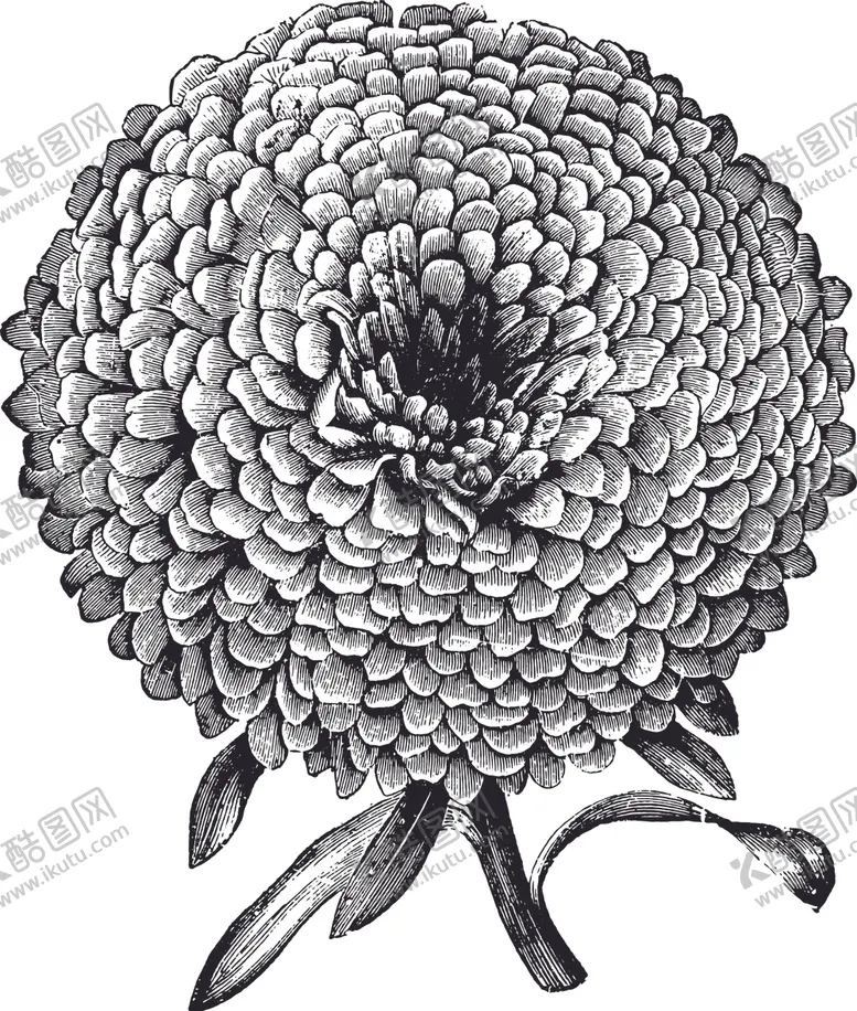 编号：96932209291002113085【酷图网】源文件下载-线描植物