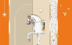 橙色背景前的优雅白马