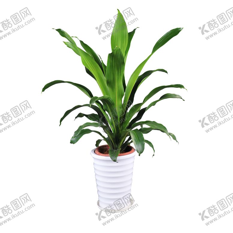 编号：92226709230230533412【酷图网】源文件下载-绿色相框