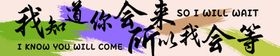 我知道你回来所以我会等横幅