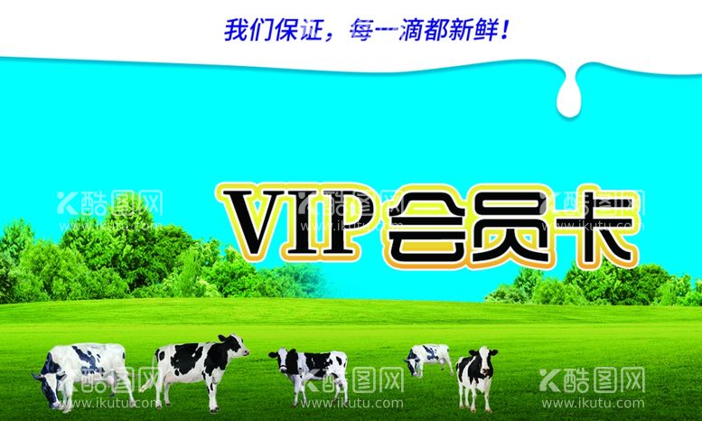 编号：33851703171301533850【酷图网】源文件下载-VIP会员卡