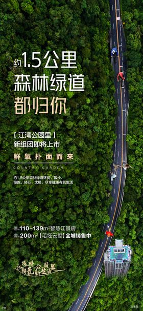 生态树林马路养身