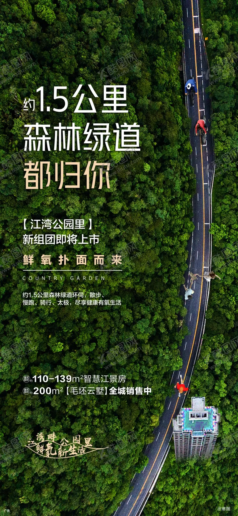 编号：57455705051507514945【酷图网】源文件下载-生态树林马路养身