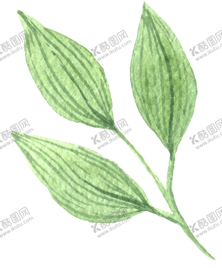 编号：16803409262125132399【酷图网】源文件下载-绿色家庭植物