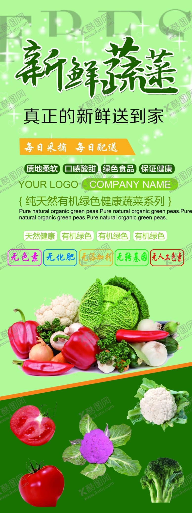 编号：12044707091152026760【酷图网】源文件下载-蔬菜