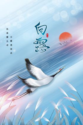 白露促销节气节日