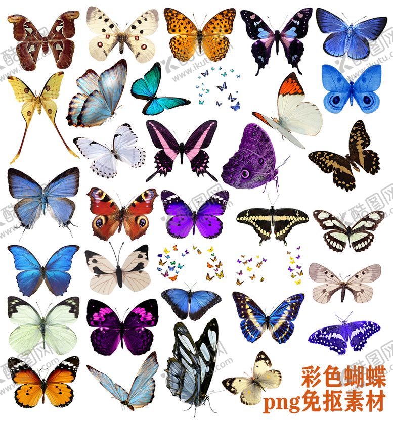 编号：25319809210140499408【酷图网】源文件下载-彩色蝴蝶素材