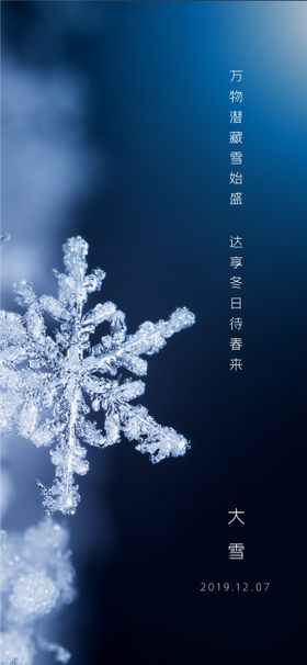 大雪节气插图海报