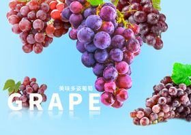 清新葡萄海报